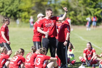 Bild 459 - F SG NieBar - IF Stjernen Flensborg : Ergebnis: 2:0